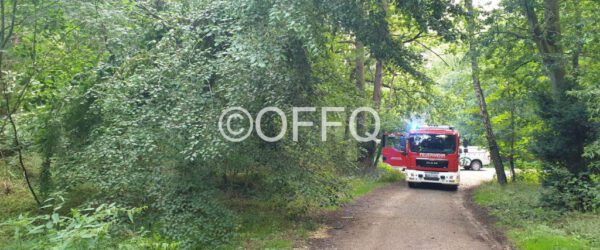 Umgestürzter Baum droht auf Straße zu fallen