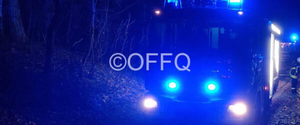 Feuer im Wald