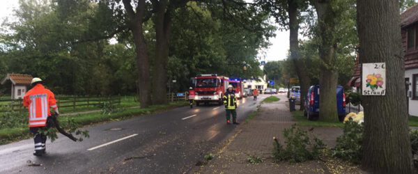 Mehrere Sturmschäden