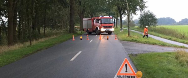 Mehrere Bäume umgestürzt