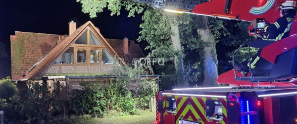 Ast droht auf Anbau zufallen