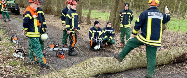 Sonderdienst Motorsägenausbildung