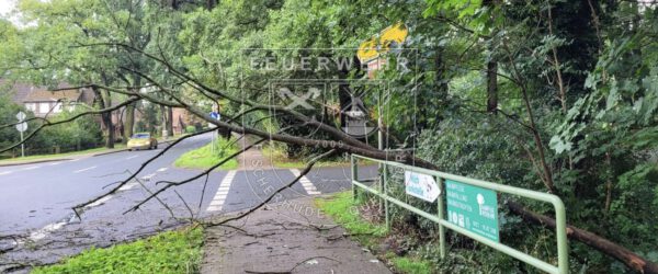 Abgebrochener Baum versperrt Fußweg