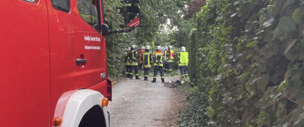 Großer Ast blockiert Weg