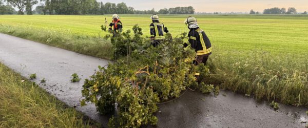 Einsätze nach Unwetterlage