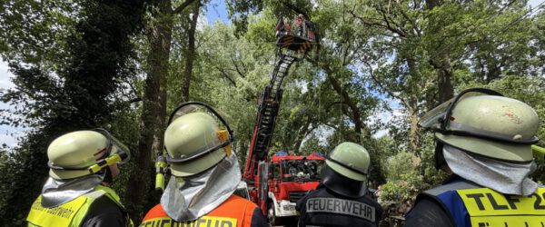 Erneuter Sturmschaden im Ebbensiek