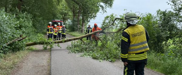 Baum versperrt Straße