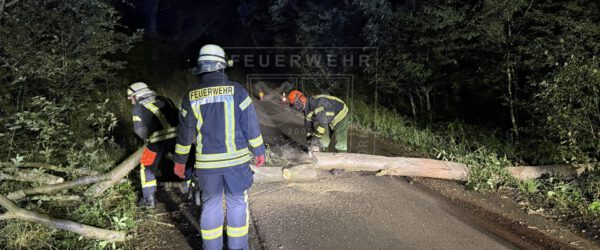 Baum blockiert Straße