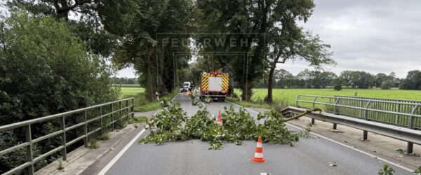 Ast hängt auf Straße